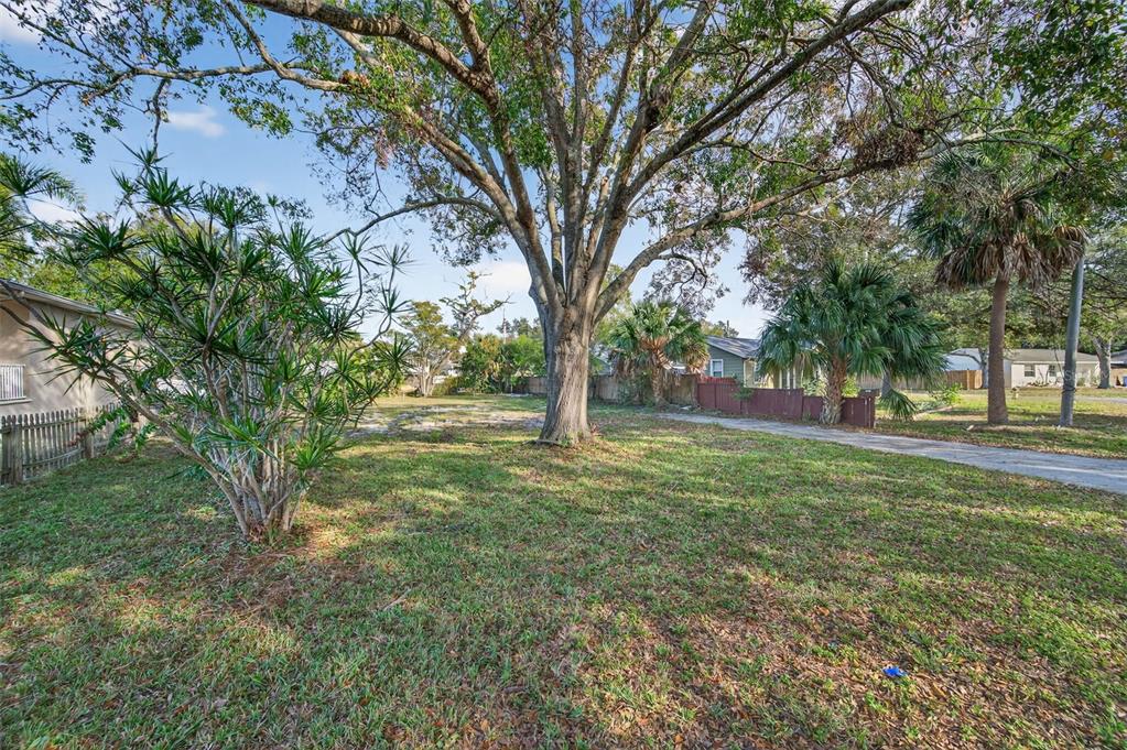 6311 Hobson Street Northeast St. Petersburg, FL 33702 - Photo 9 of 41 a view of yard with trees