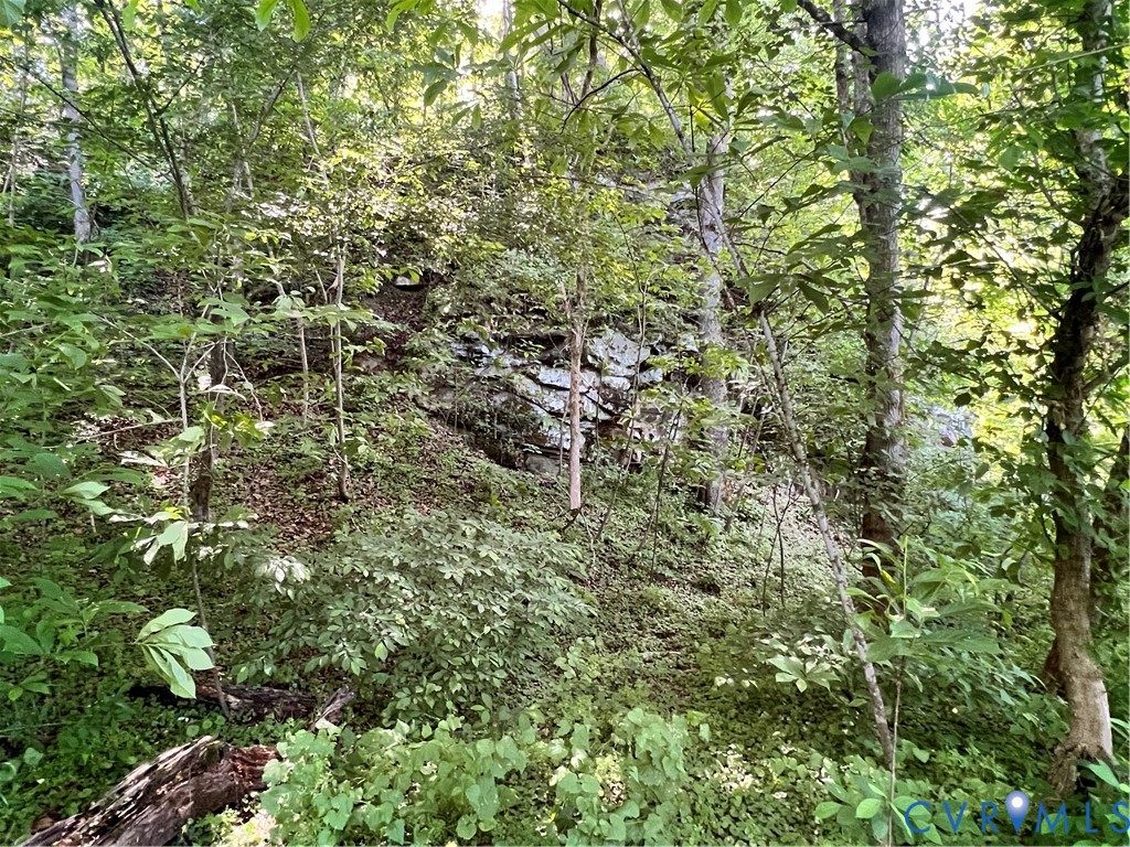 5890 Tucker Road Powhatan, VA 23139 - Photo 23 of 38 Gallery Image 23