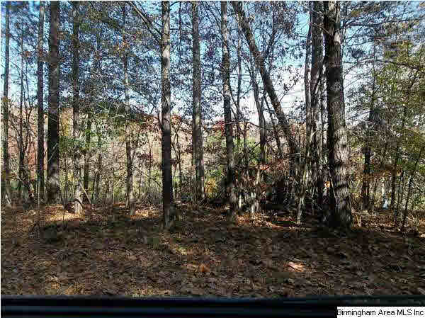 Mcvey Road, Unit 1 Lineville, AL 36266 - Photo 2 of 2