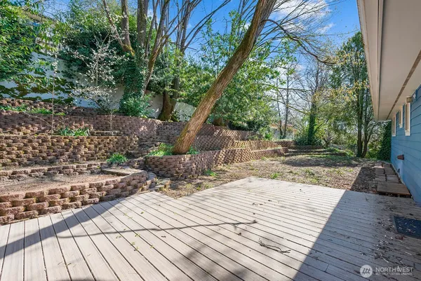 a view of a backyard