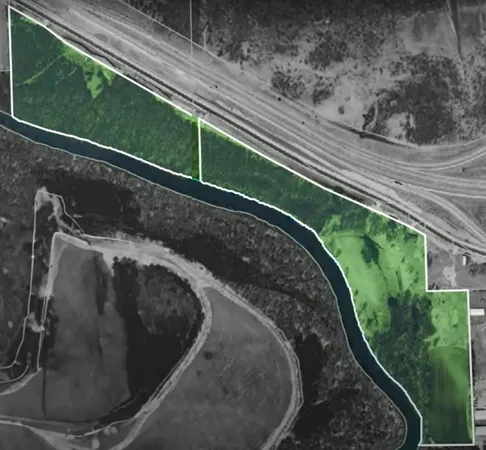 a view of a yard with a tree