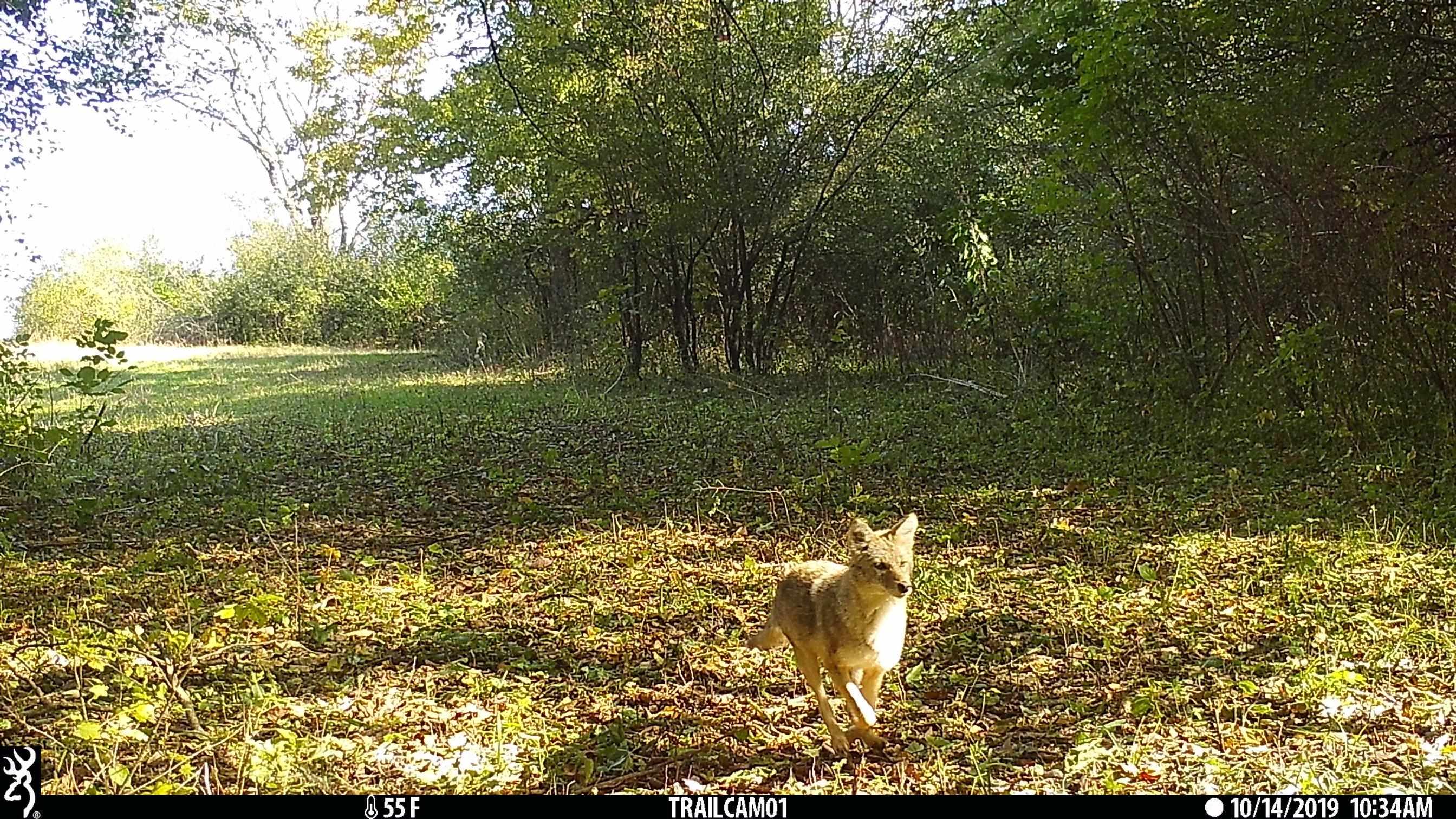 Us Bypass 20th Freeport, IL 61032 - Photo 2 of 7