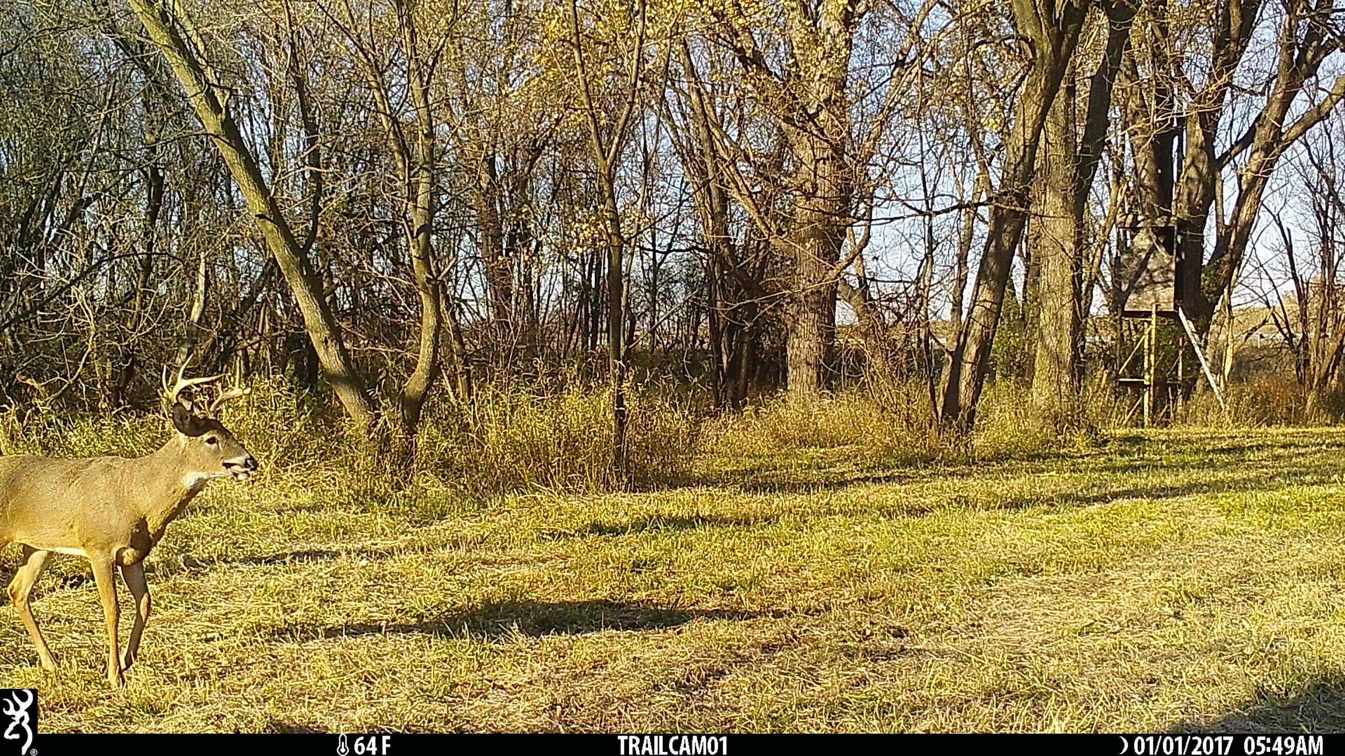 Us Bypass 20th Freeport, IL 61032 - Photo 3 of 7