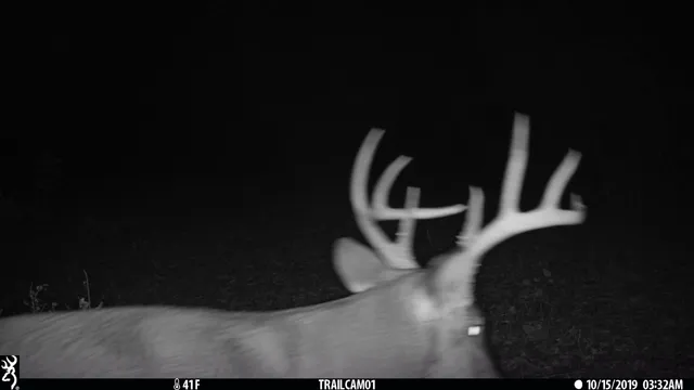 a close view of sink toilet