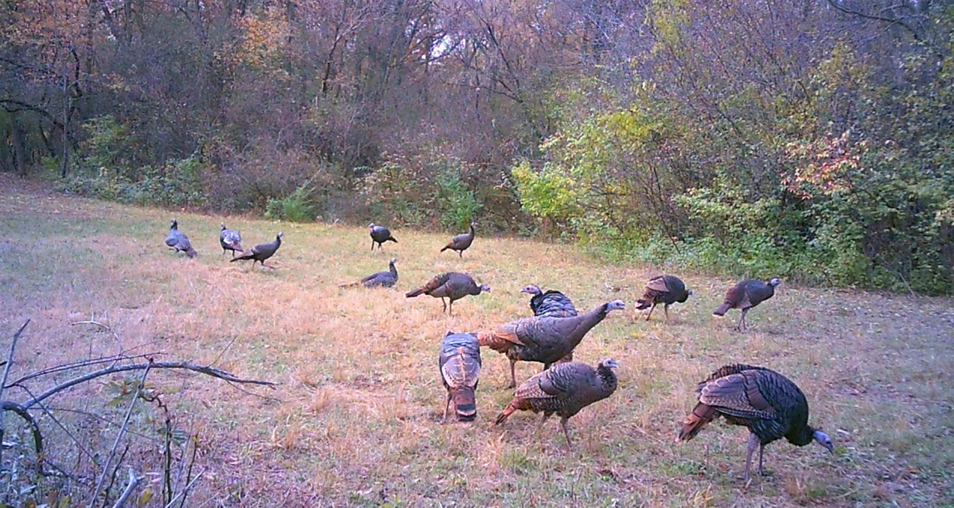Us Bypass 20th Freeport, IL 61032 - Photo 5 of 7