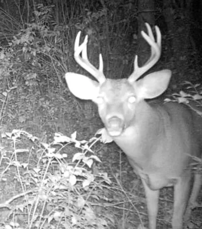 $875,000 | Us Bypass 20th, Freeport, IL 61032