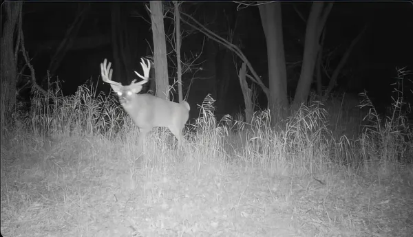 $875,000 | Us Bypass 20th, Freeport, IL 61032