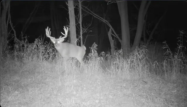 $875,000 | Us Bypass 20th, Freeport, IL 61032