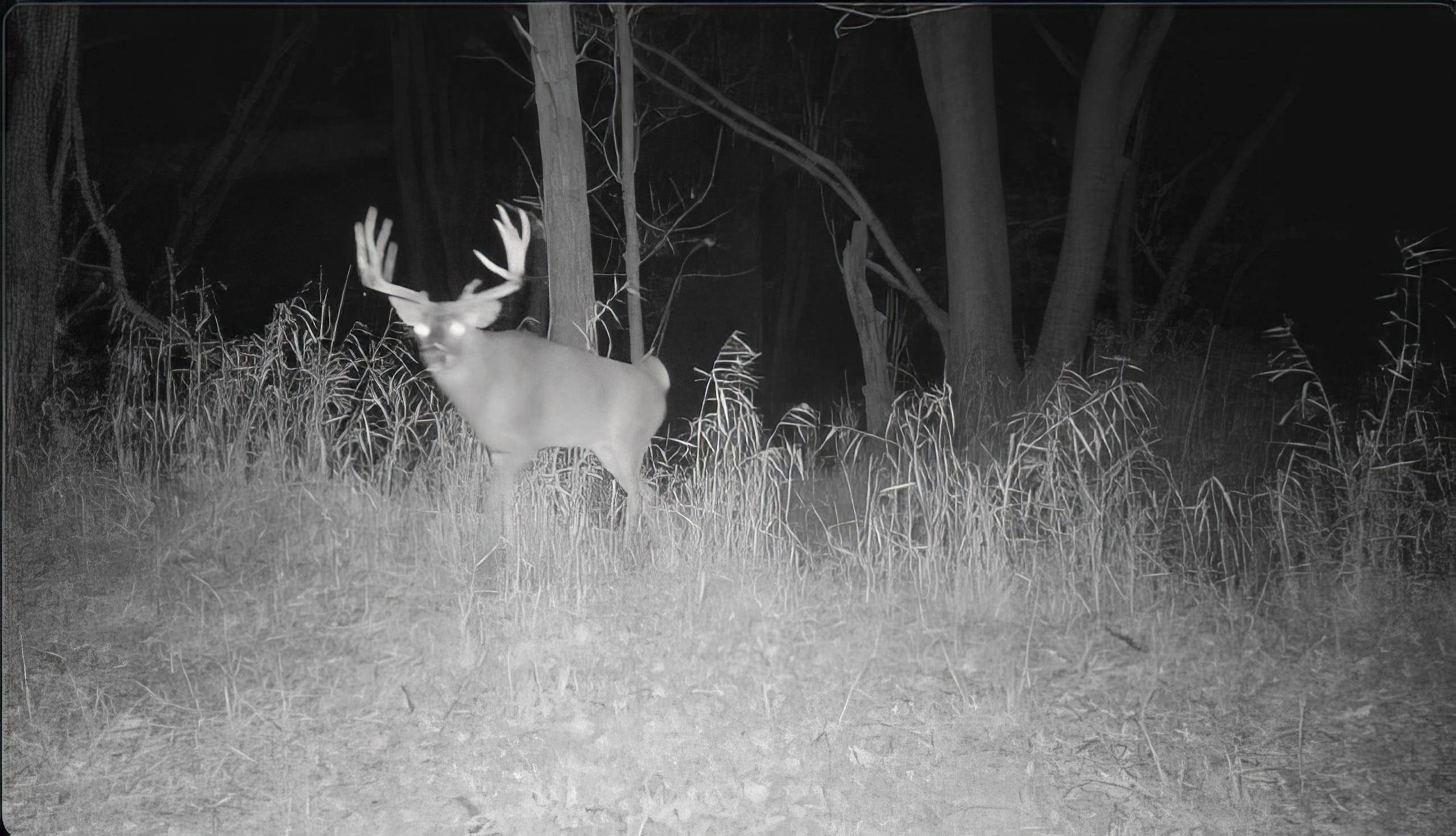 Us Bypass 20th Freeport, IL 61032 - Photo 7 of 7