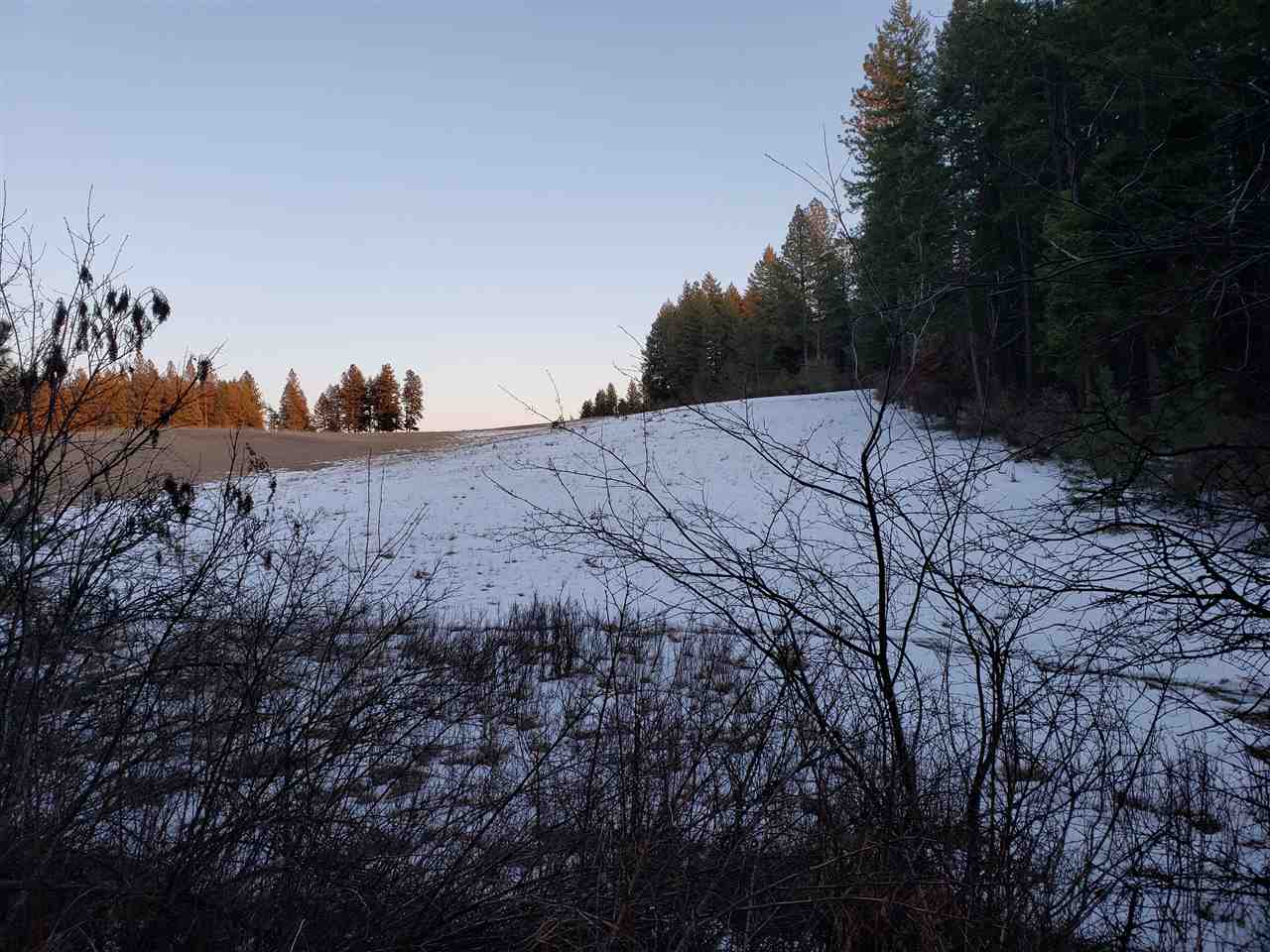 19999 East Blanchard Road Elk, WA 99009 - Photo 1 of 4 Gallery Image 1