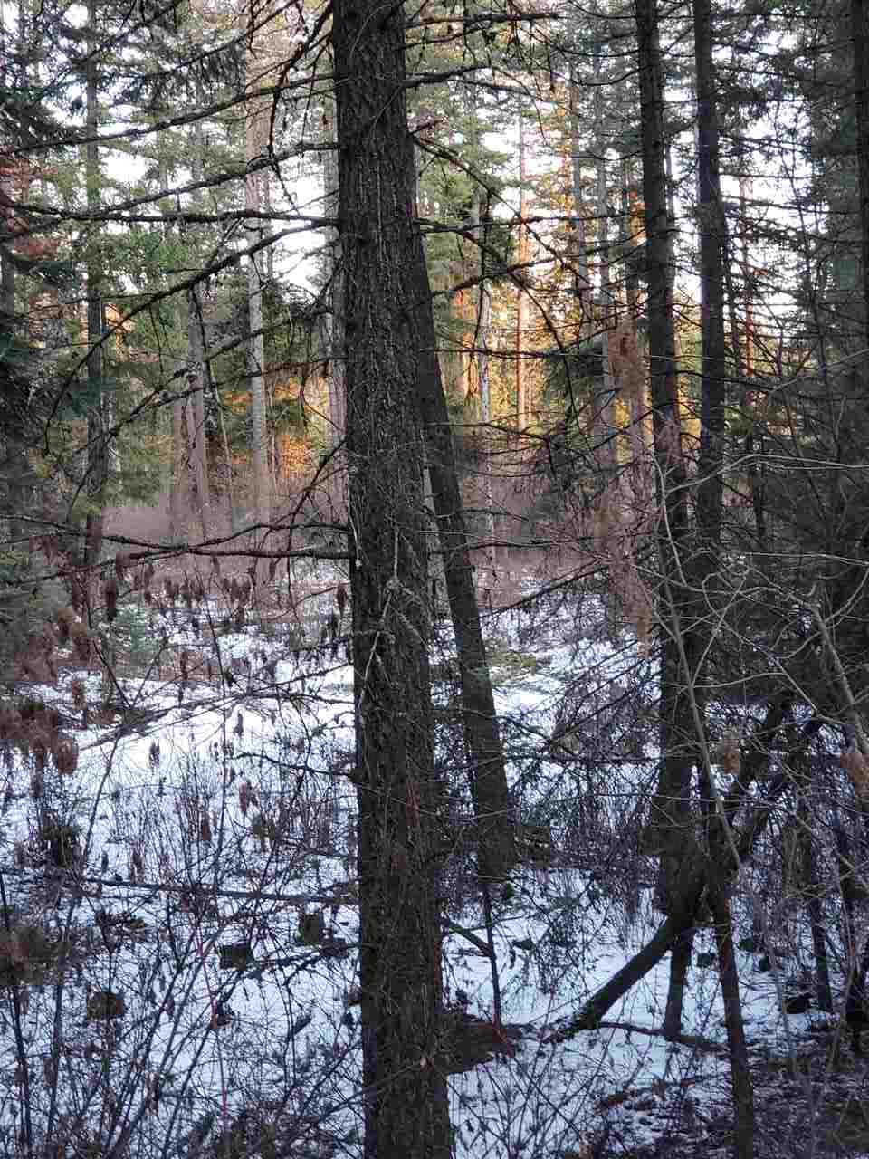 19999 East Blanchard Road Elk, WA 99009 - Photo 3 of 4 Gallery Image 3