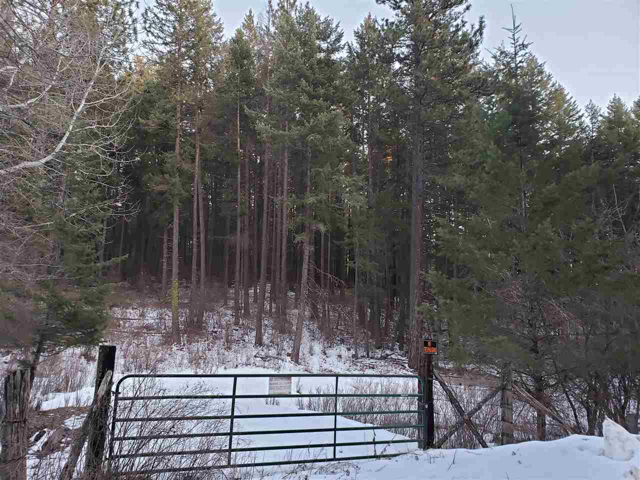 19999 East Blanchard Road Elk, WA 99009 - Photo 4 of 4 Gallery Image 4