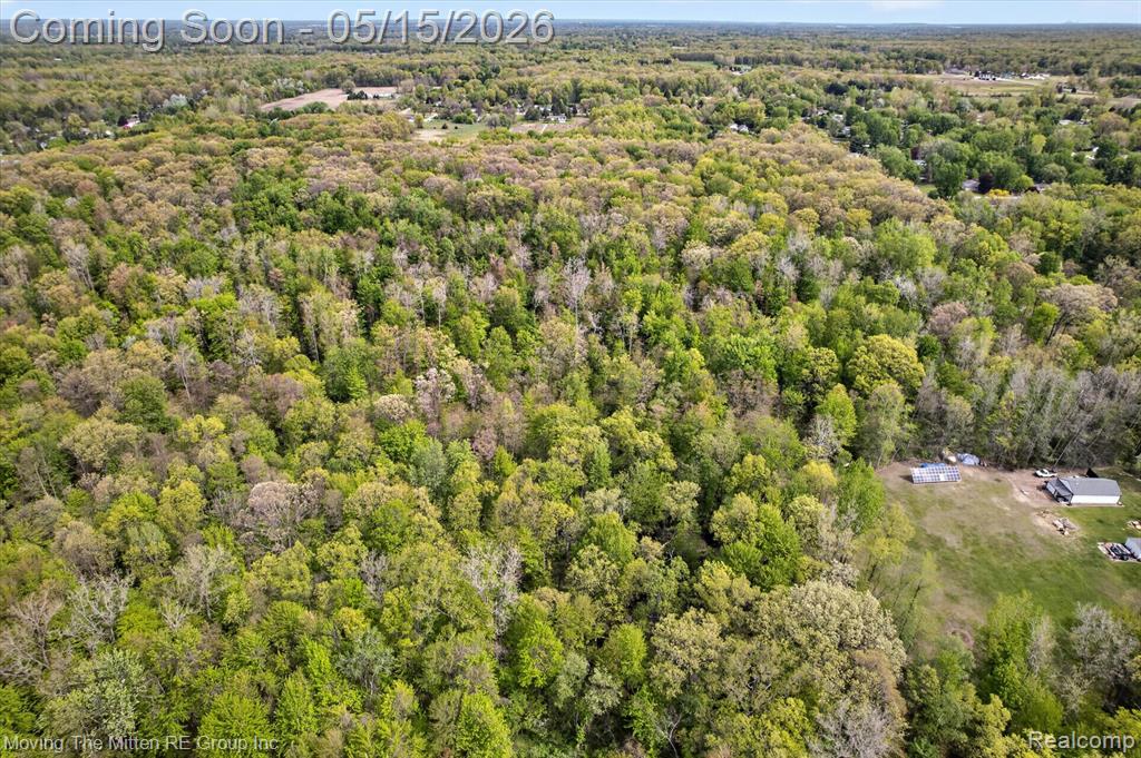 22530 Bohn Road Belleville, MI 48111 - Photo 7 of 28