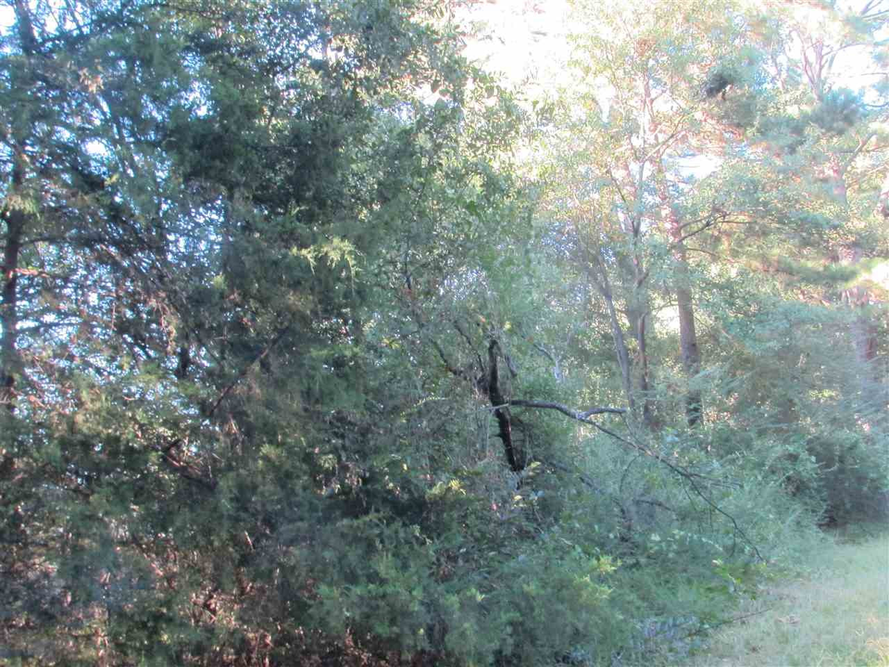 0 Forest Hill Road Jackson, MS 39209 - Photo 1 of 2 Photo 1