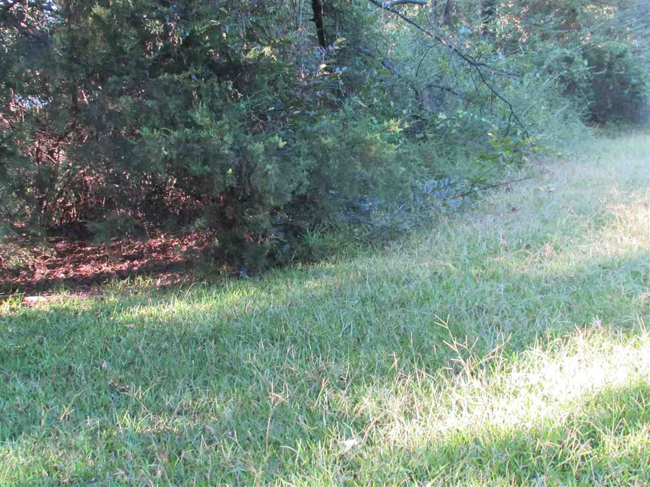 0 Forest Hill Road Jackson, MS 39209 - Photo 2 of 2 Photo 2