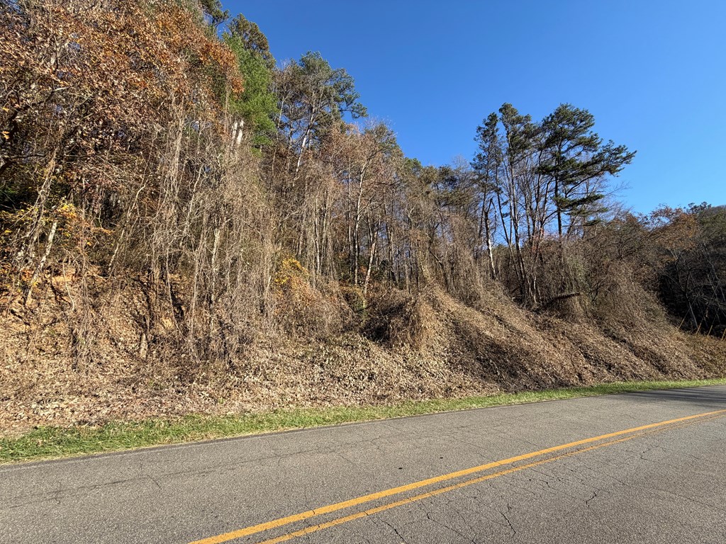 0 Whitepath Road Ellijay, GA 30536 - Photo 3 of 3 Gallery Image 3