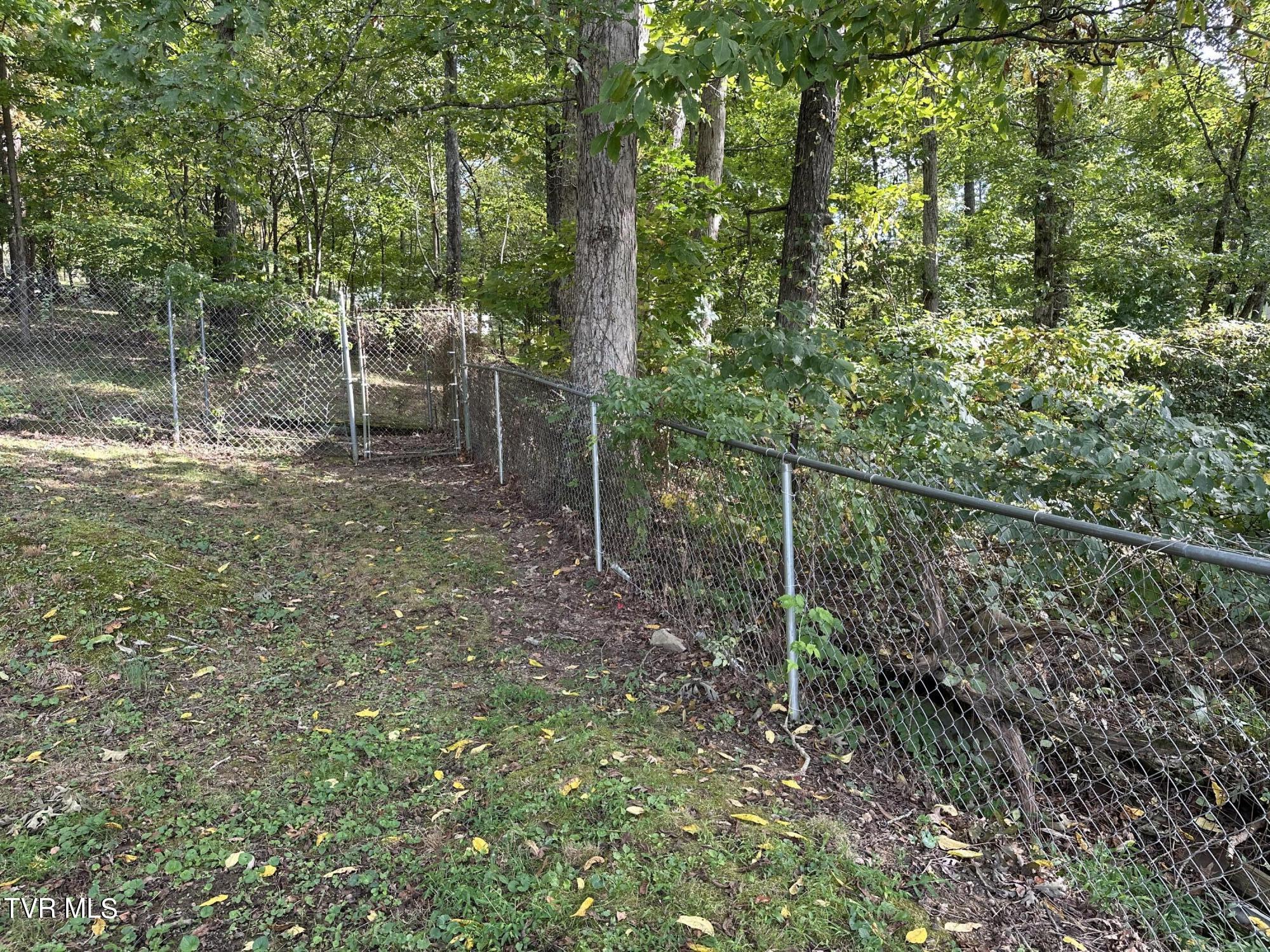 1370 Lovelace Road Fall Branch, TN 37656 - Photo 11 of 55 All fenced back yard