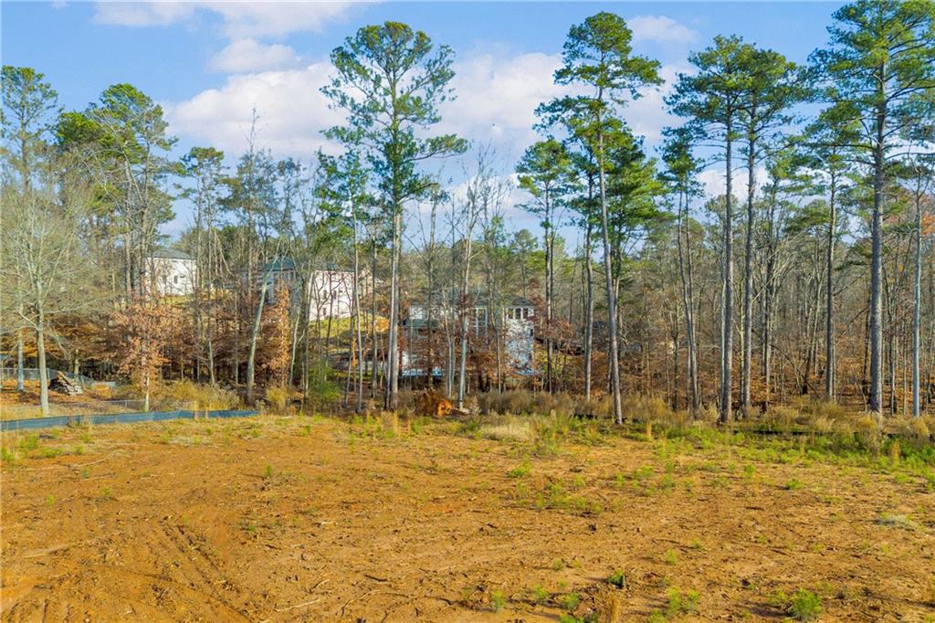 204 Line Street Buford, GA 30518 - Photo 18 of 23