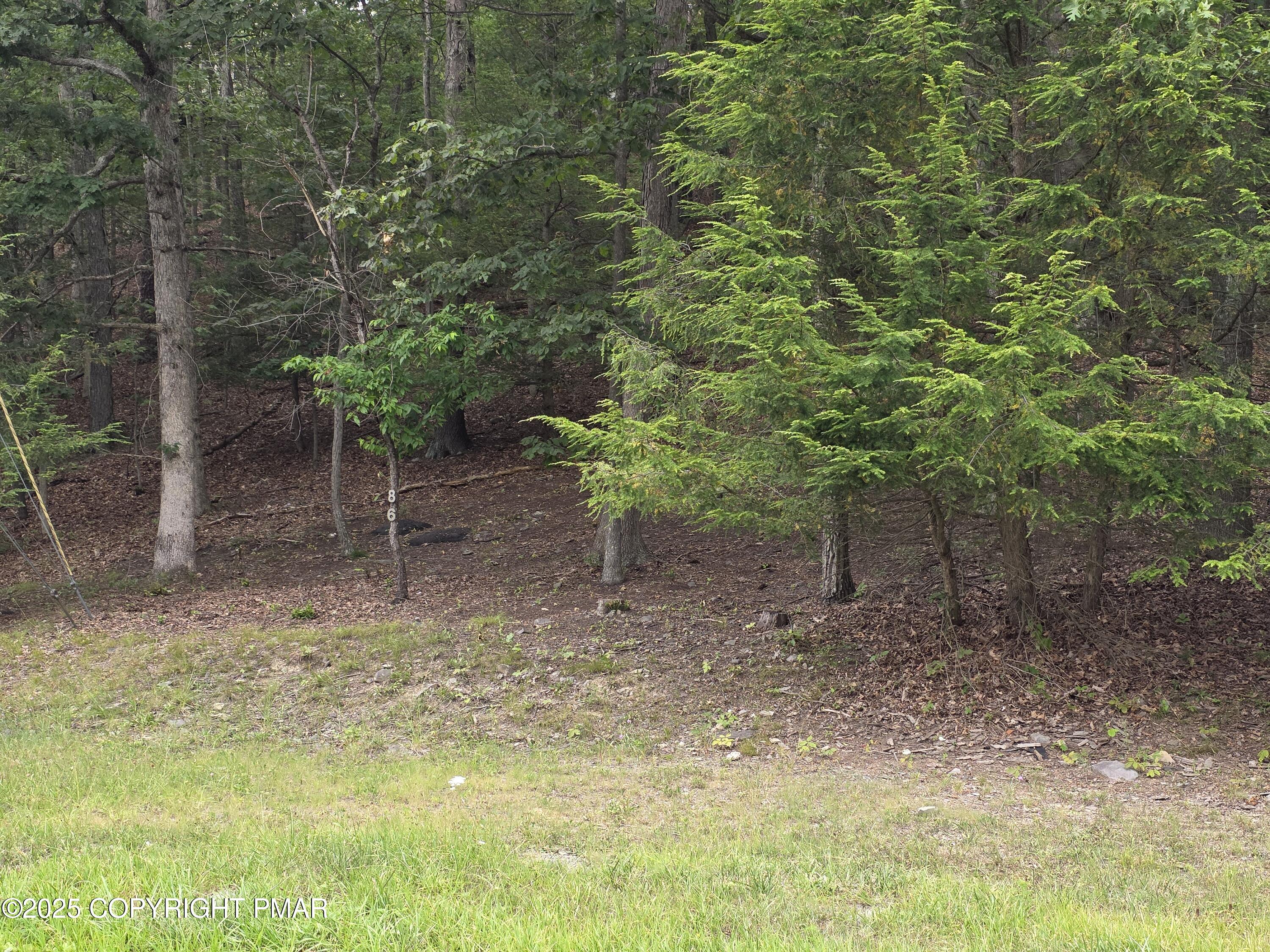 a view of a yard with plants and trees