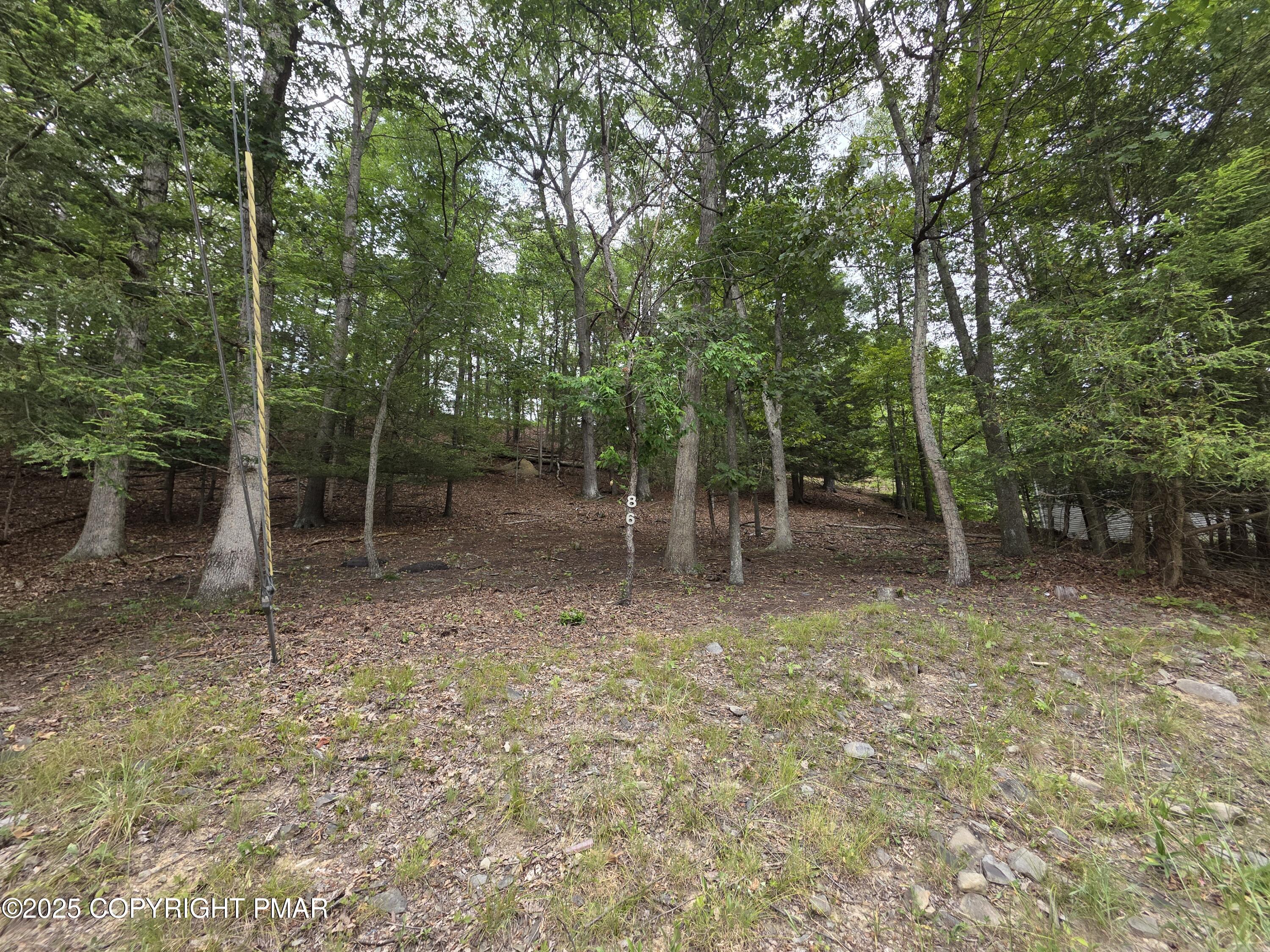 86 Hill Road East Stroudsburg, PA 18301 - Photo 2 of 3 a view of outdoor space with trees