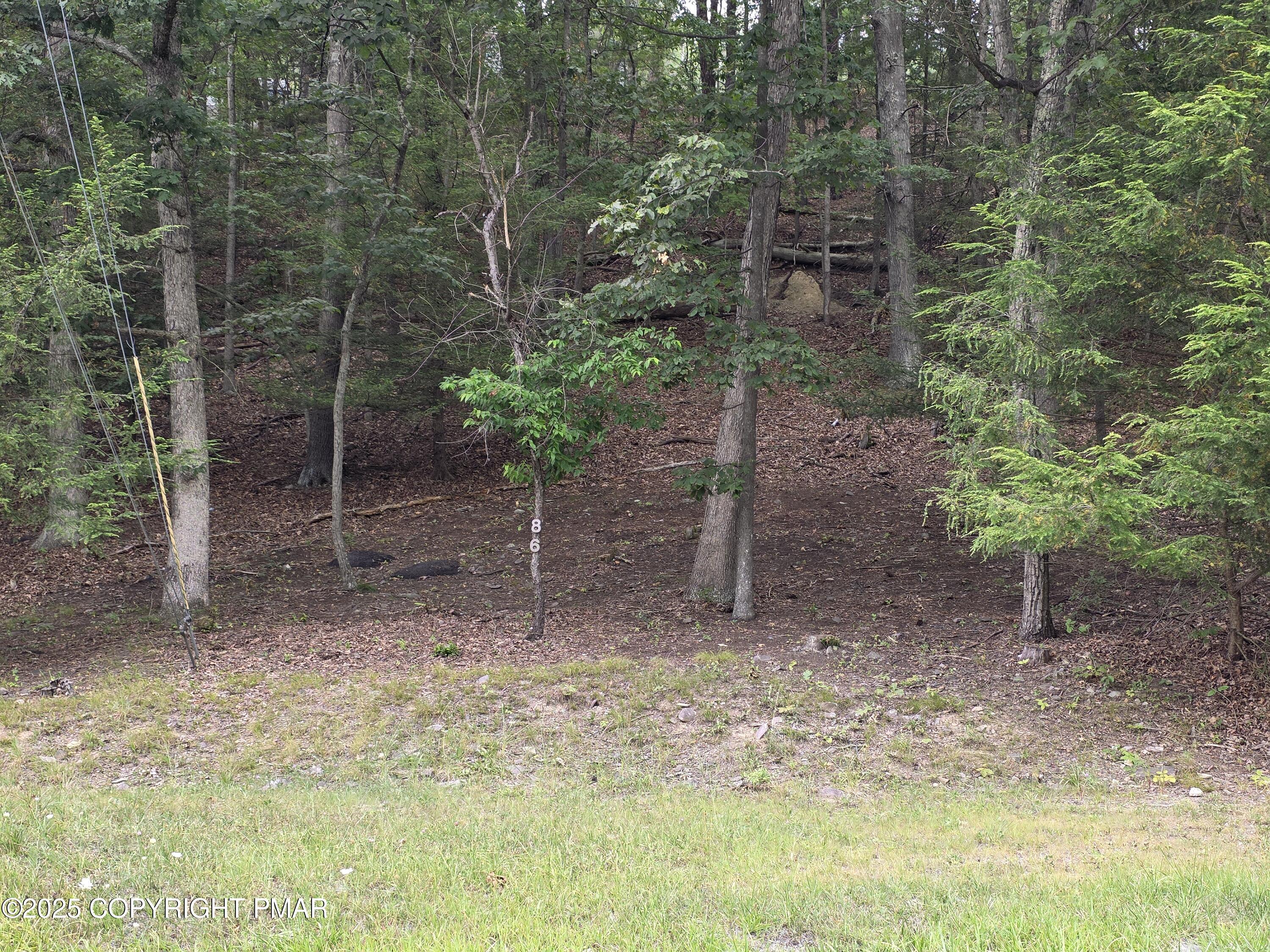 86 Hill Road East Stroudsburg, PA 18301 - Photo 3 of 3 a backyard of a house with lots of green space