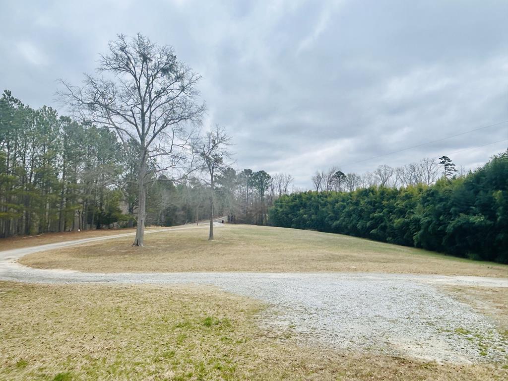 619 Cannon Road Waterloo, SC 29384 - Photo 2 of 32