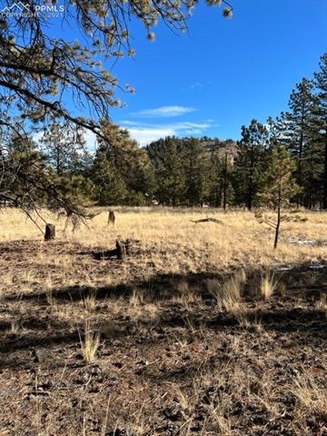 185 Haystack Road Hartsel, CO 80449 - Photo 8 of 15 Gallery Image 8