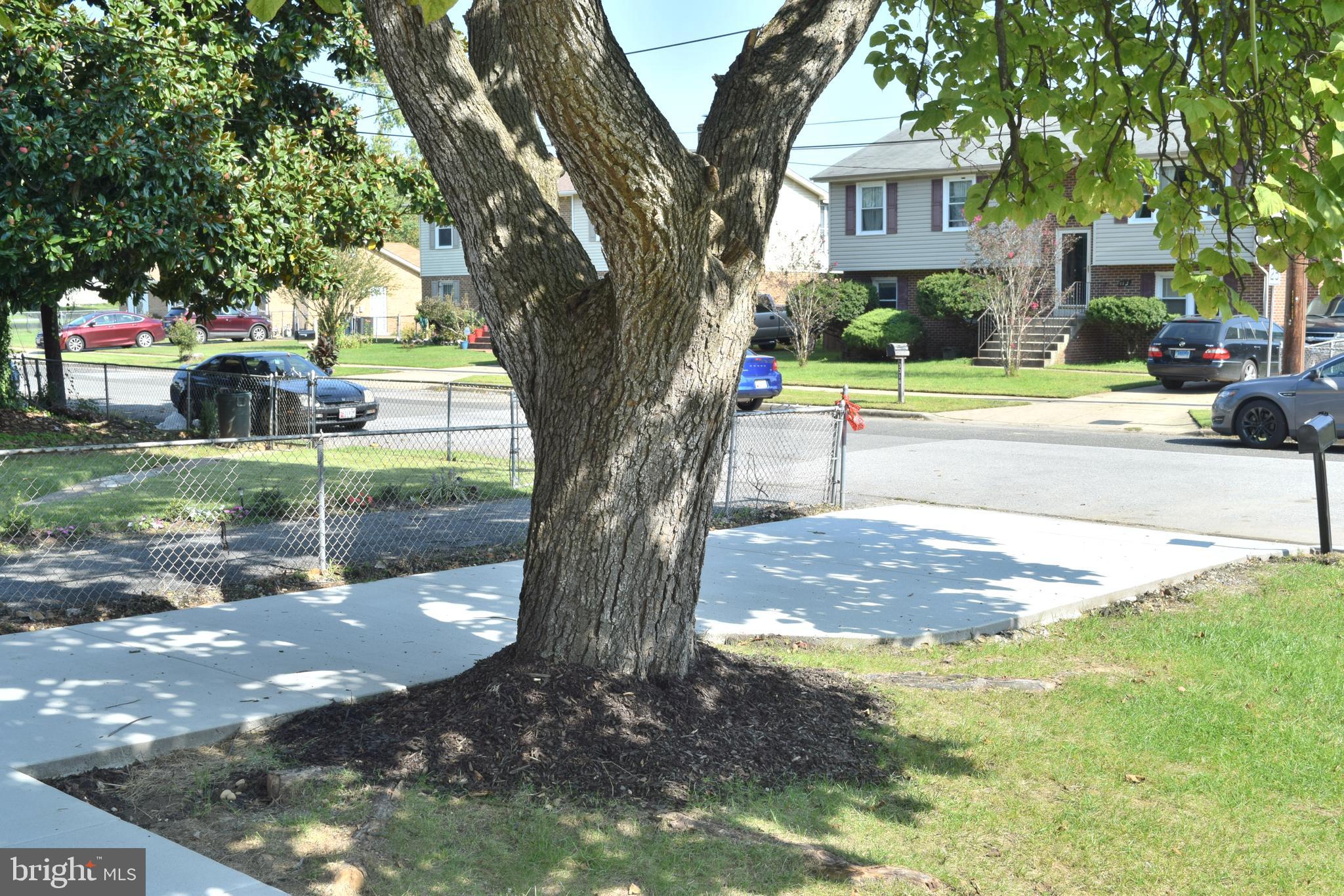 3317 Randall Road Suitland, MD 20746 - Photo 11 of 35 Gallery Image 11