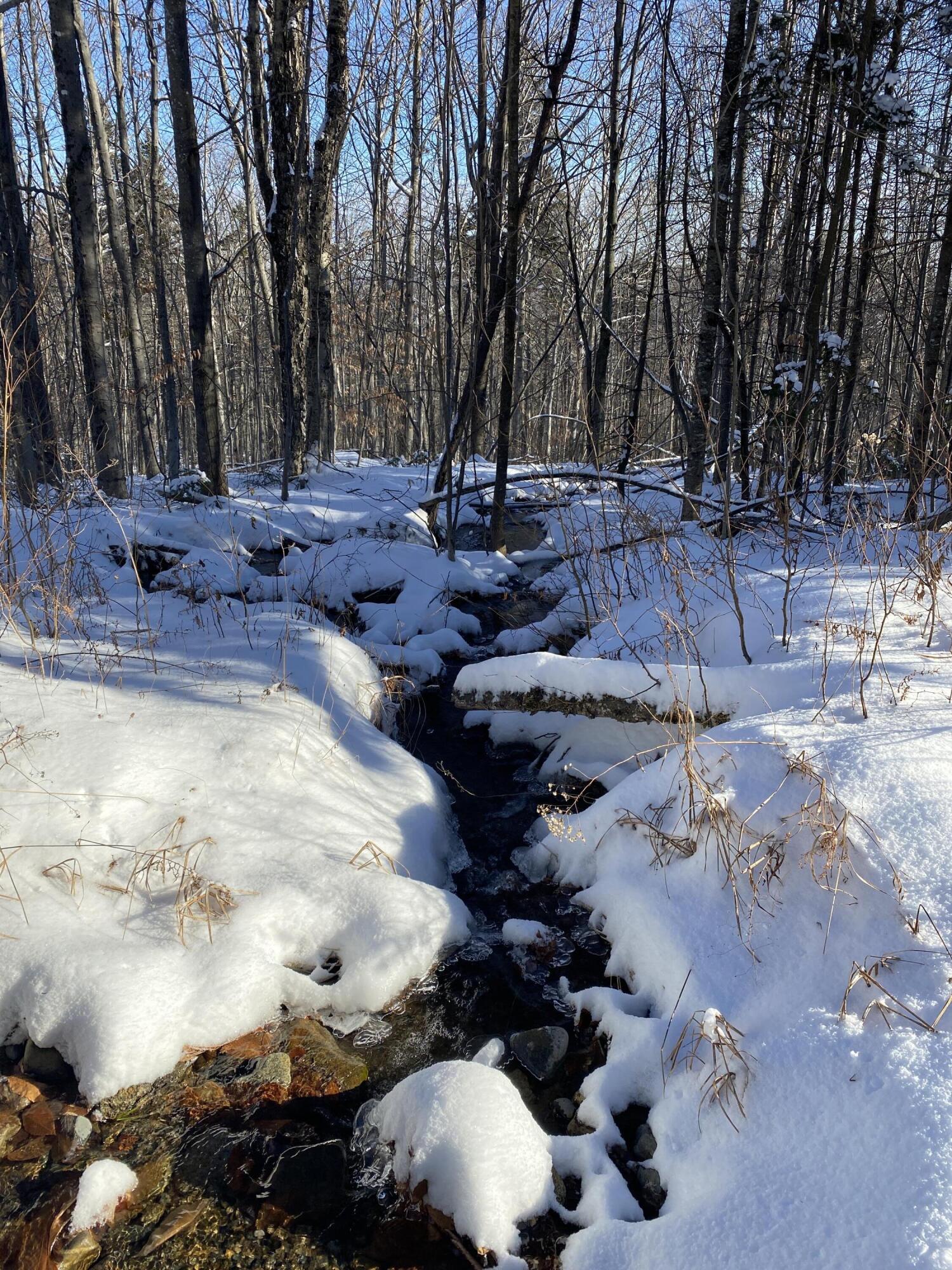 Lot 4 Off Jenkins Road Temple, ME 04984 - Photo 6 of 16 Photo Dec 20, 12 52 24 PM