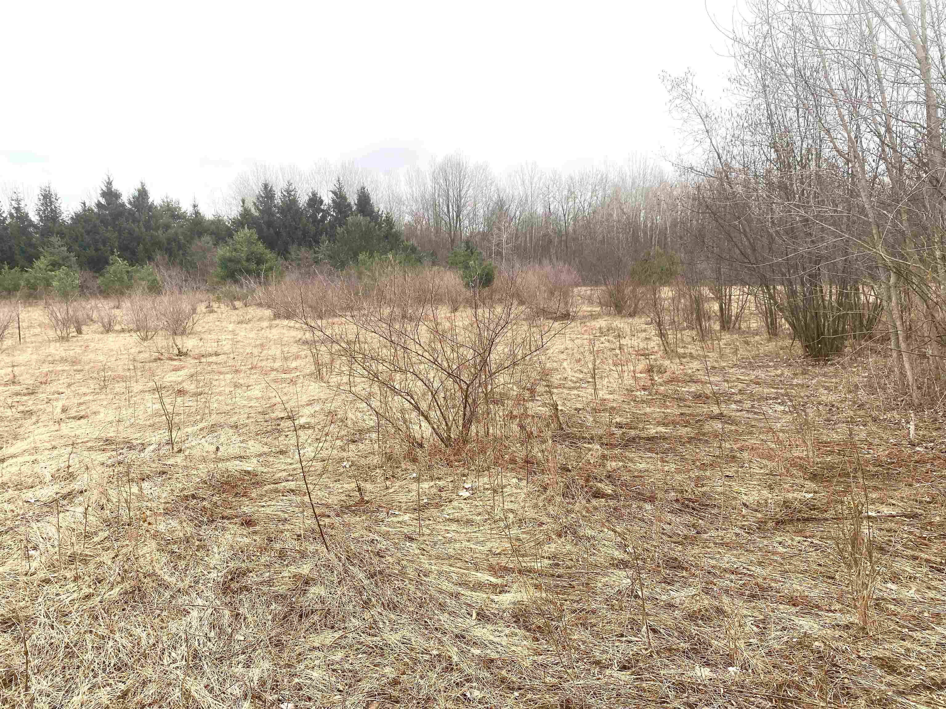 Tbd East Jordan Road Mount Pleasant, MI 48858 - Photo 12 of 15