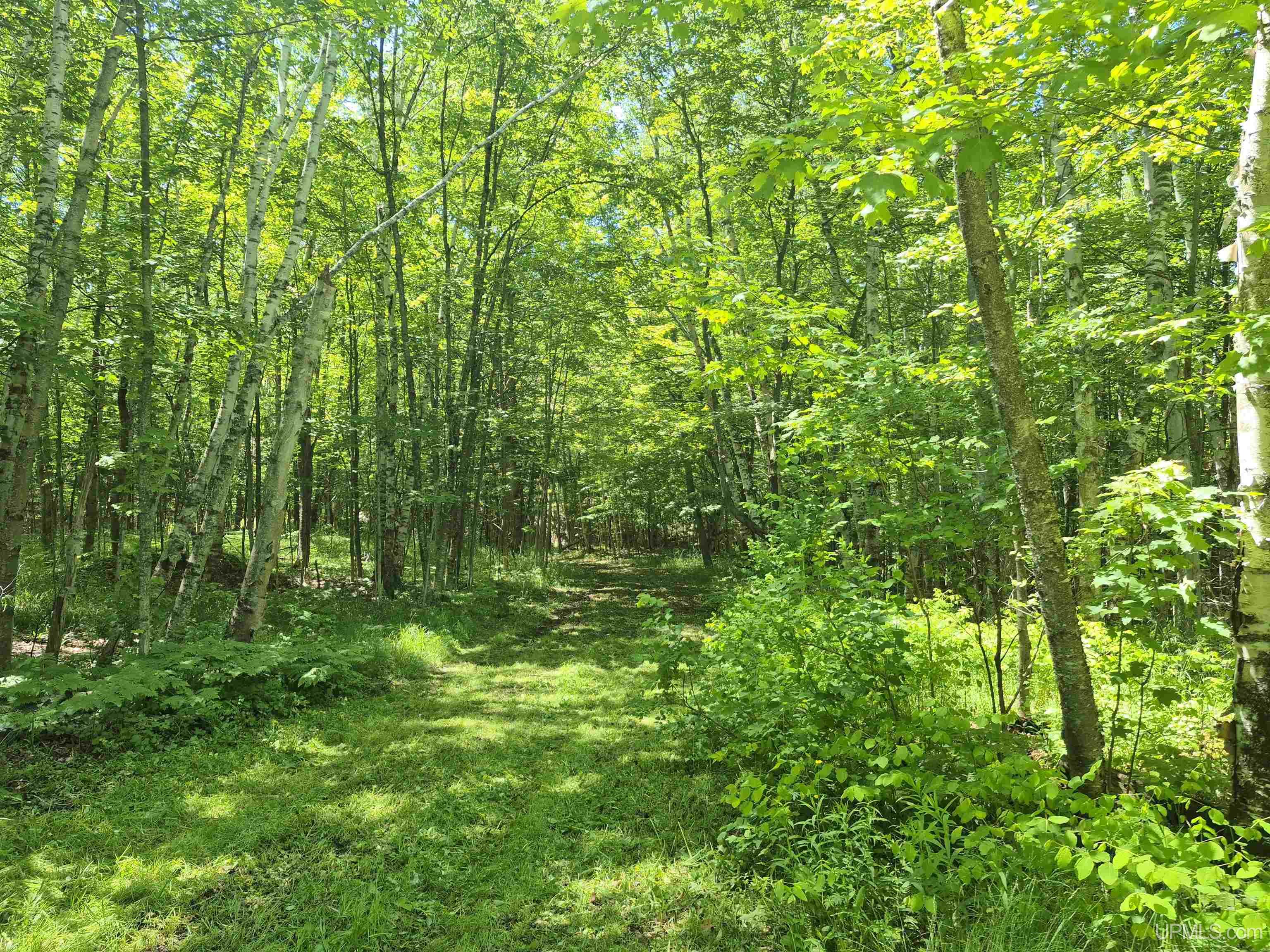 8-acres Nestor Road Munising, MI 49862 - Photo 7 of 43