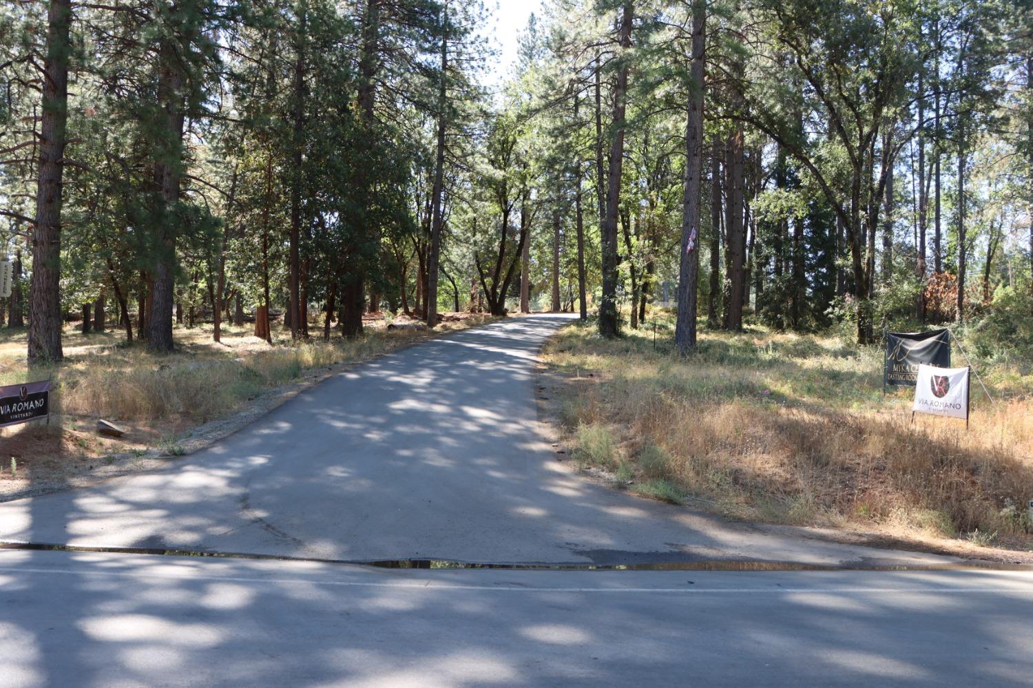 3435 Carson Court Camino, CA 95709 - Photo 13 of 30 a view of a yard with a tree