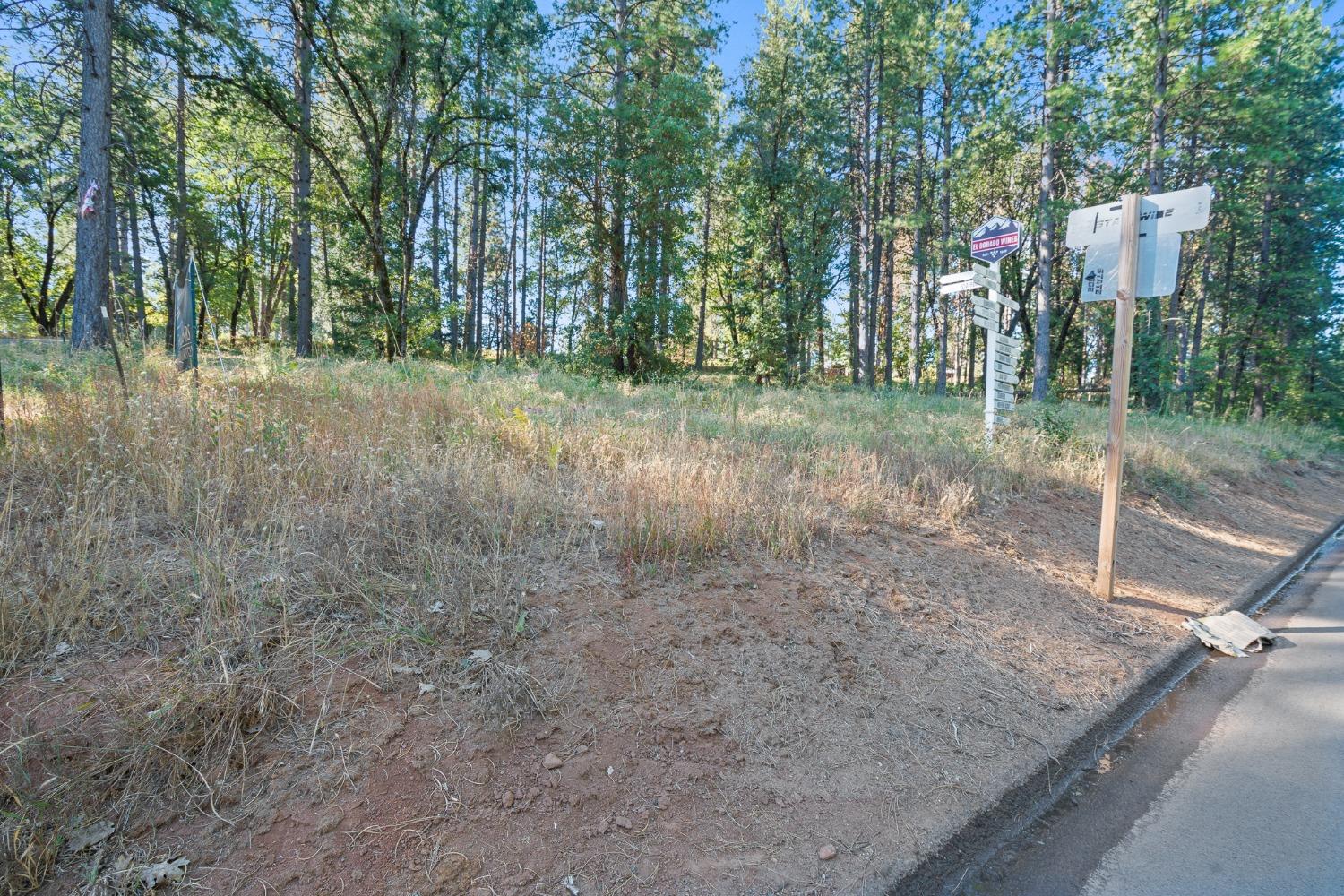 3435 Carson Court Camino, CA 95709 - Photo 19 of 30 a view of a forest with trees
