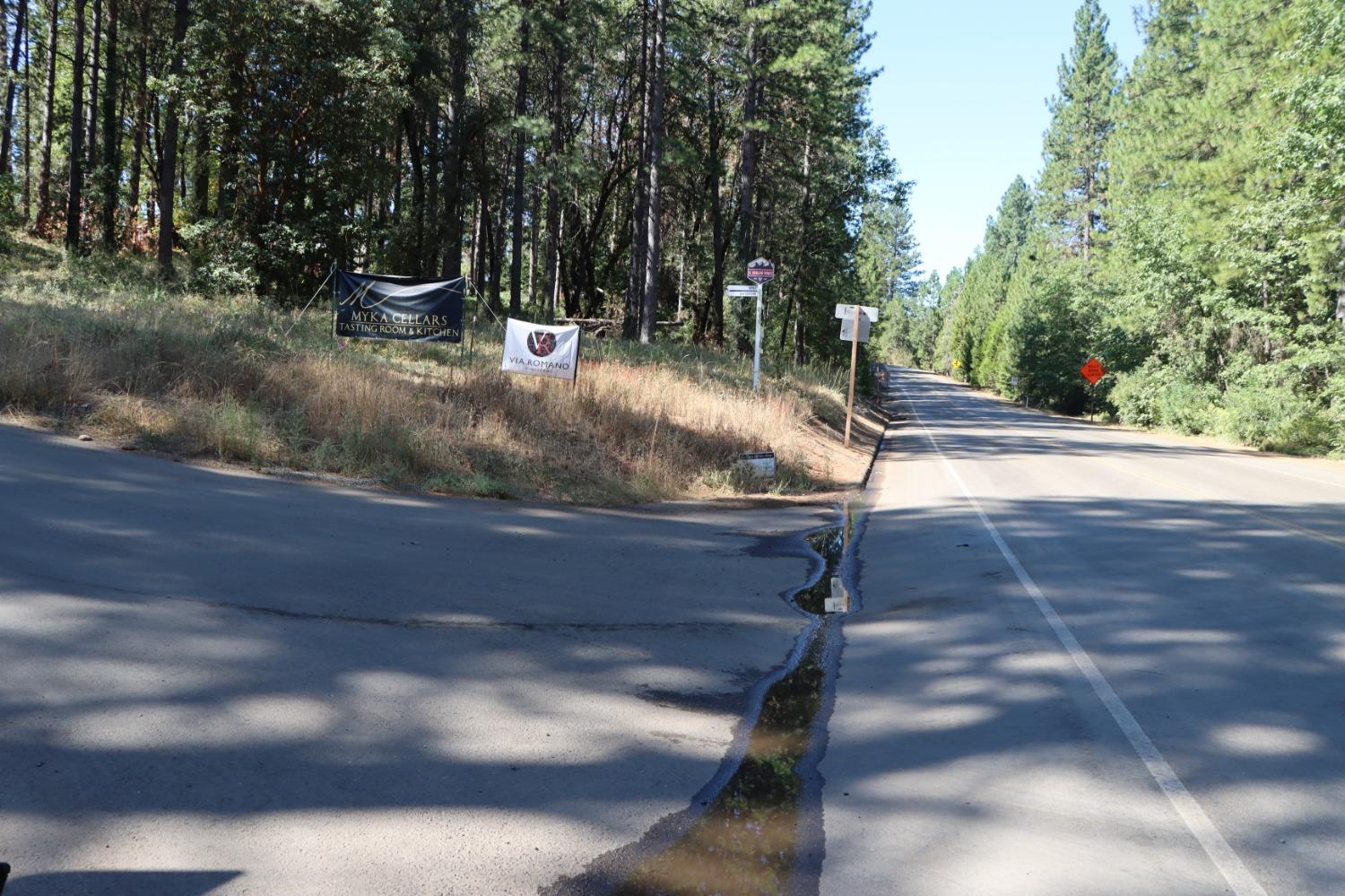 3435 Carson Court Camino, CA 95709 - Photo 8 of 30 a backyard of a house