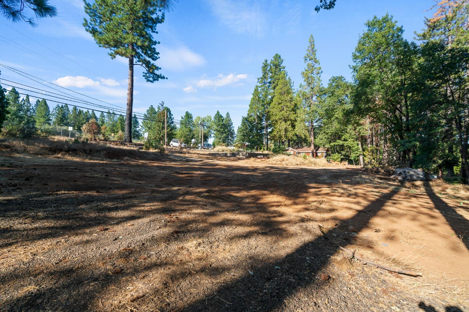 3435 Carson Court Camino, CA 95709 - Photo 9 of 30 a view of a road with a yard