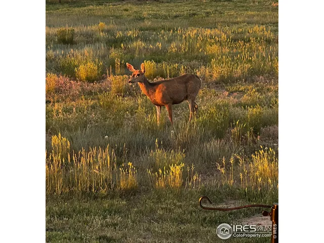 $1,060,000 | 11837 County Road 39, Fort Lupton, CO 80621