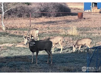 $1,060,000 | 11837 County Road 39, Fort Lupton, CO 80621