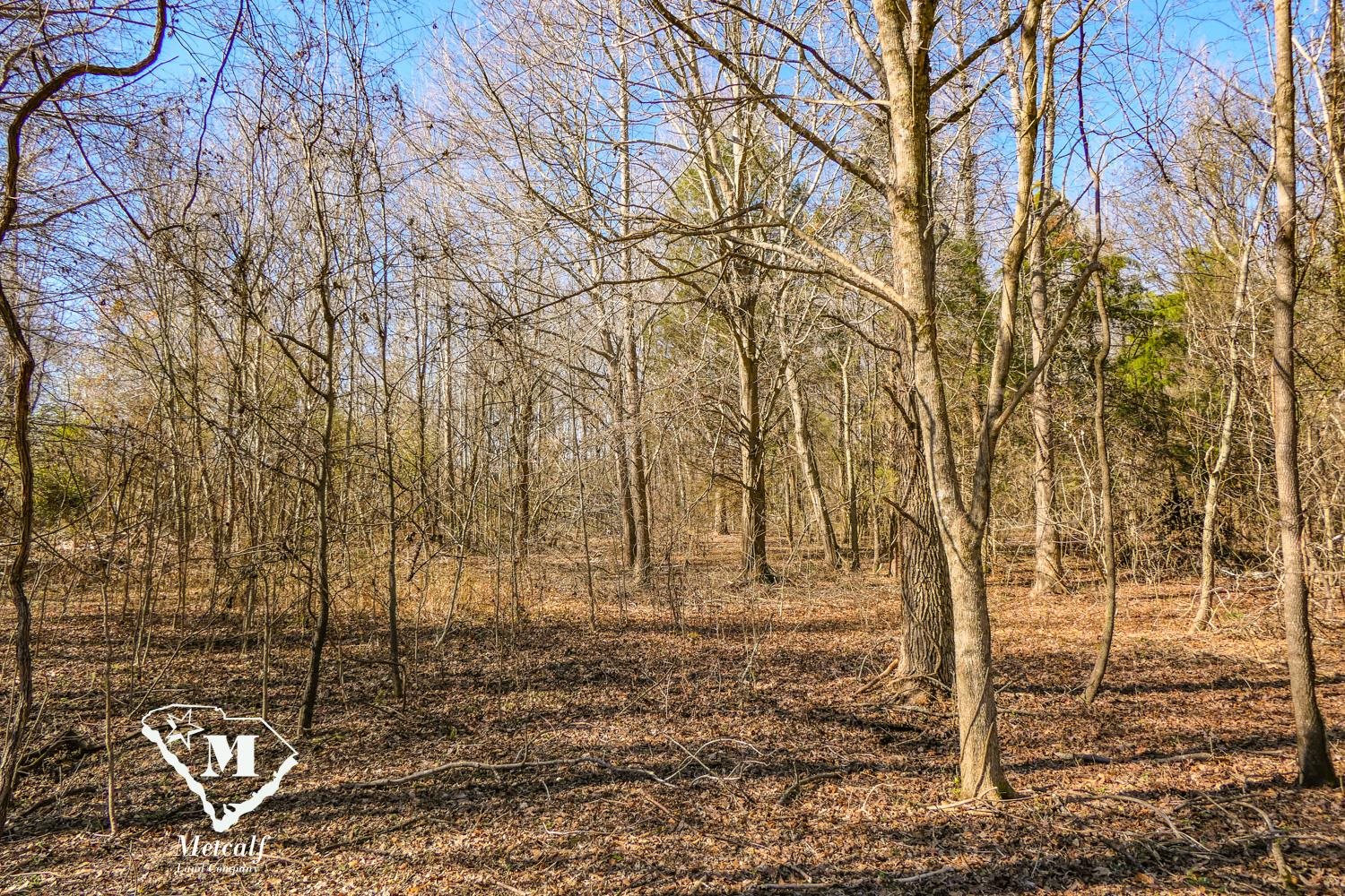 0 Walker Road Woodruff, SC 29388 - Photo 3 of 5