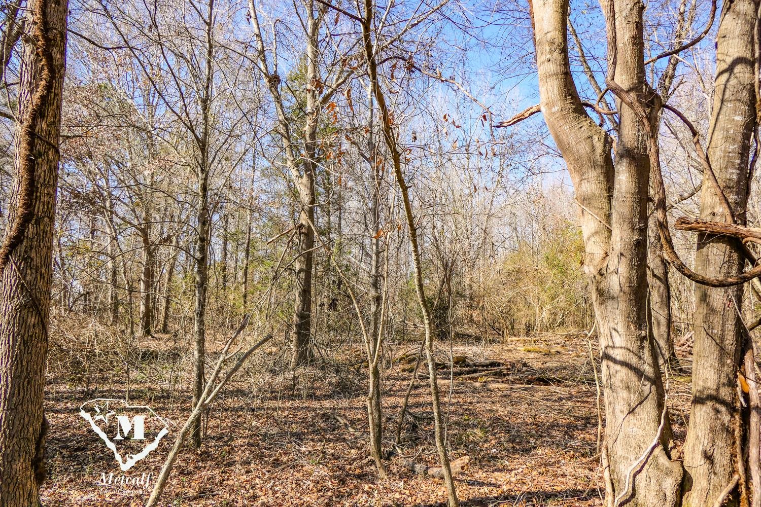 0 Walker Road Woodruff, SC 29388 - Photo 4 of 5