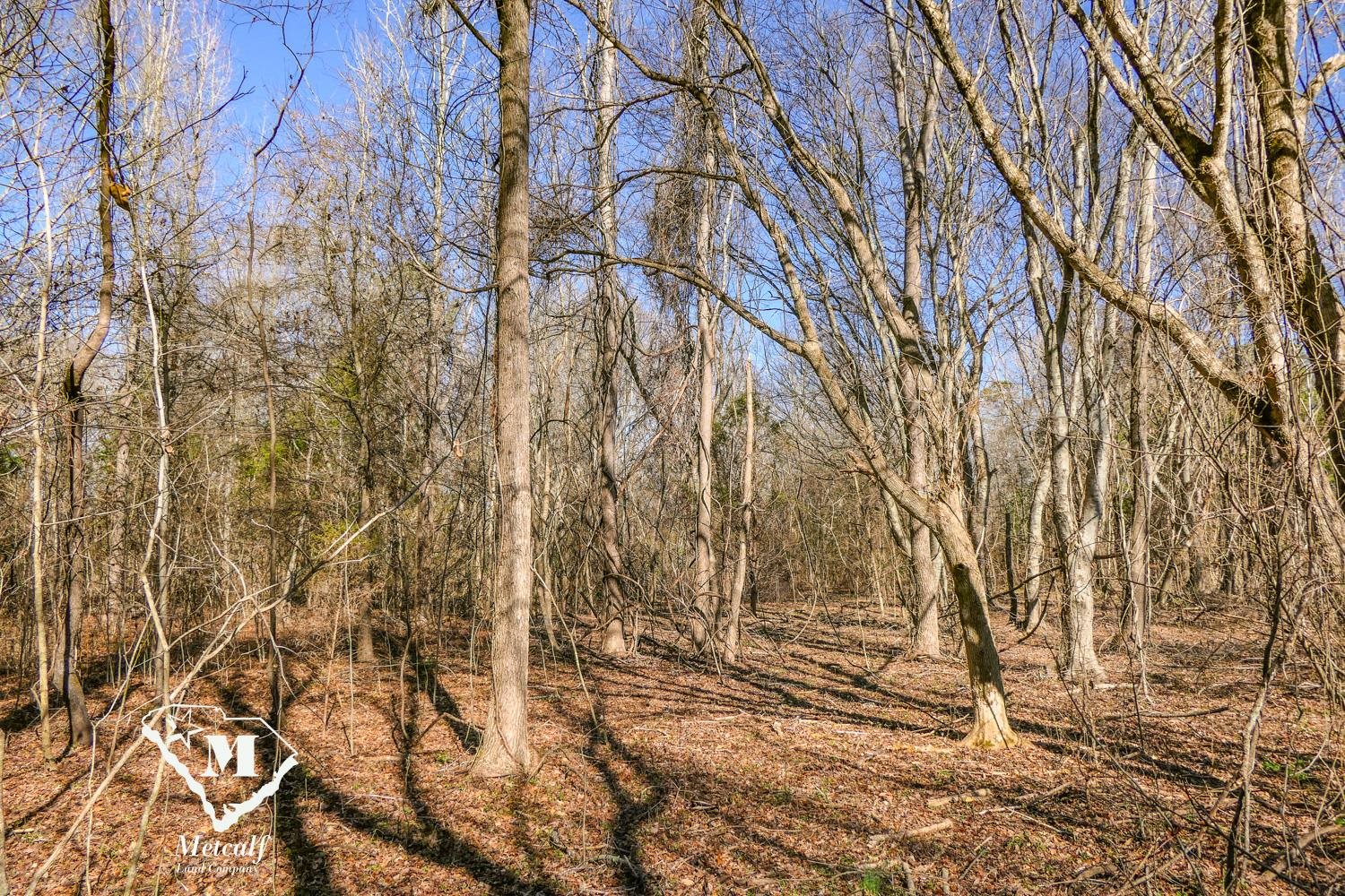 0 Walker Road Woodruff, SC 29388 - Photo 5 of 5