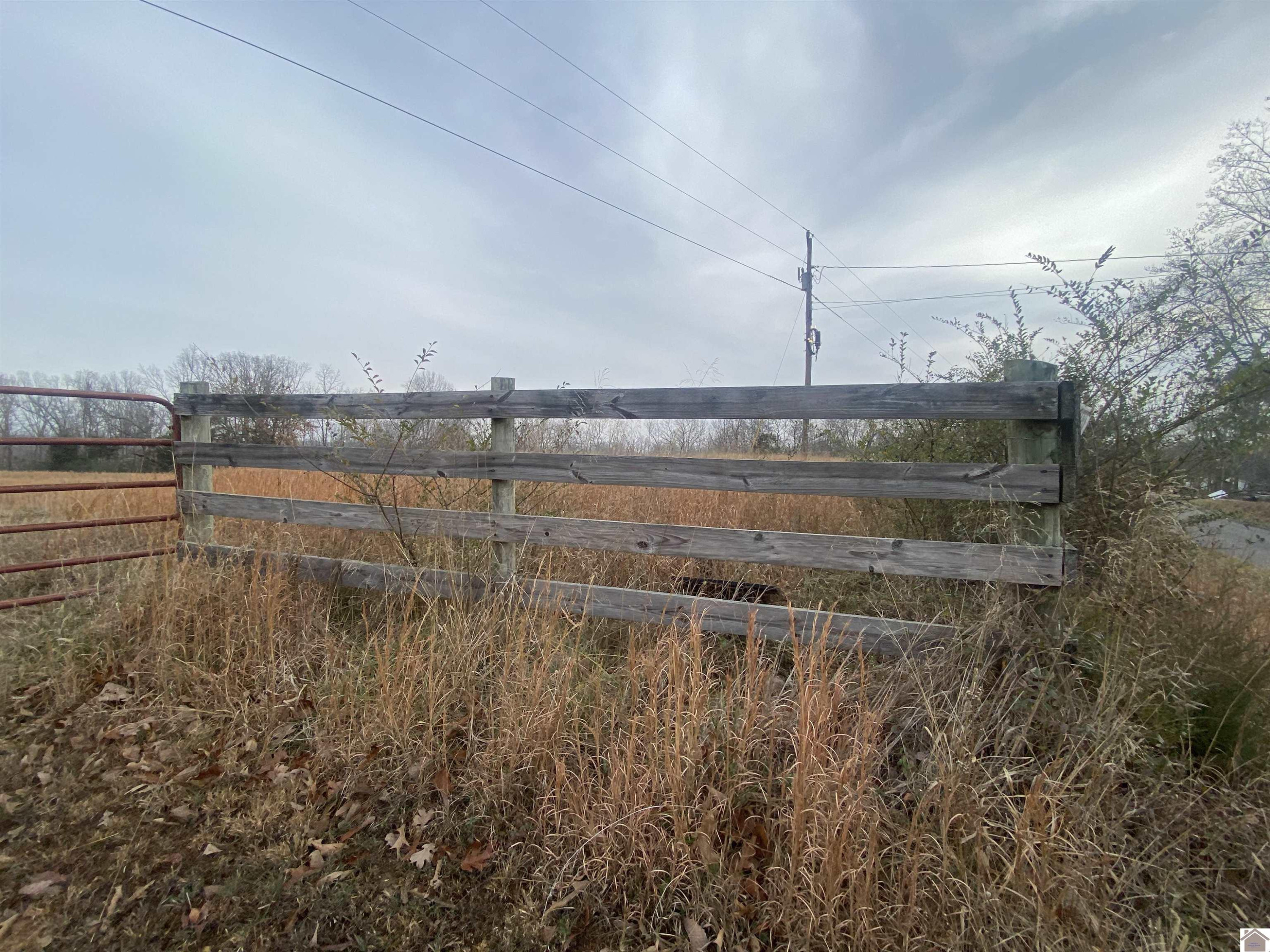 700 Crossroads School Road Cadiz, KY 42211 - Photo 8 of 10 Photo 9