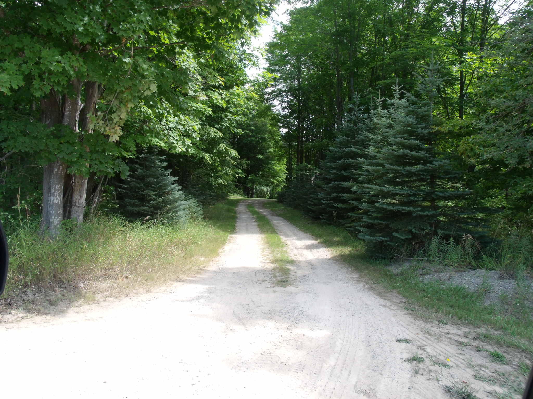 9155 Centerline Road Onaway, MI 49765 - Photo 26 of 35 Gallery Image 26