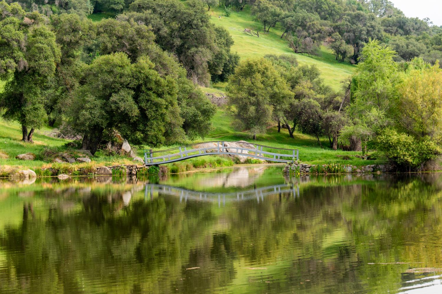 265 Grapevine Ravine Lane Lincoln, CA 95648 - Photo 70 of 88