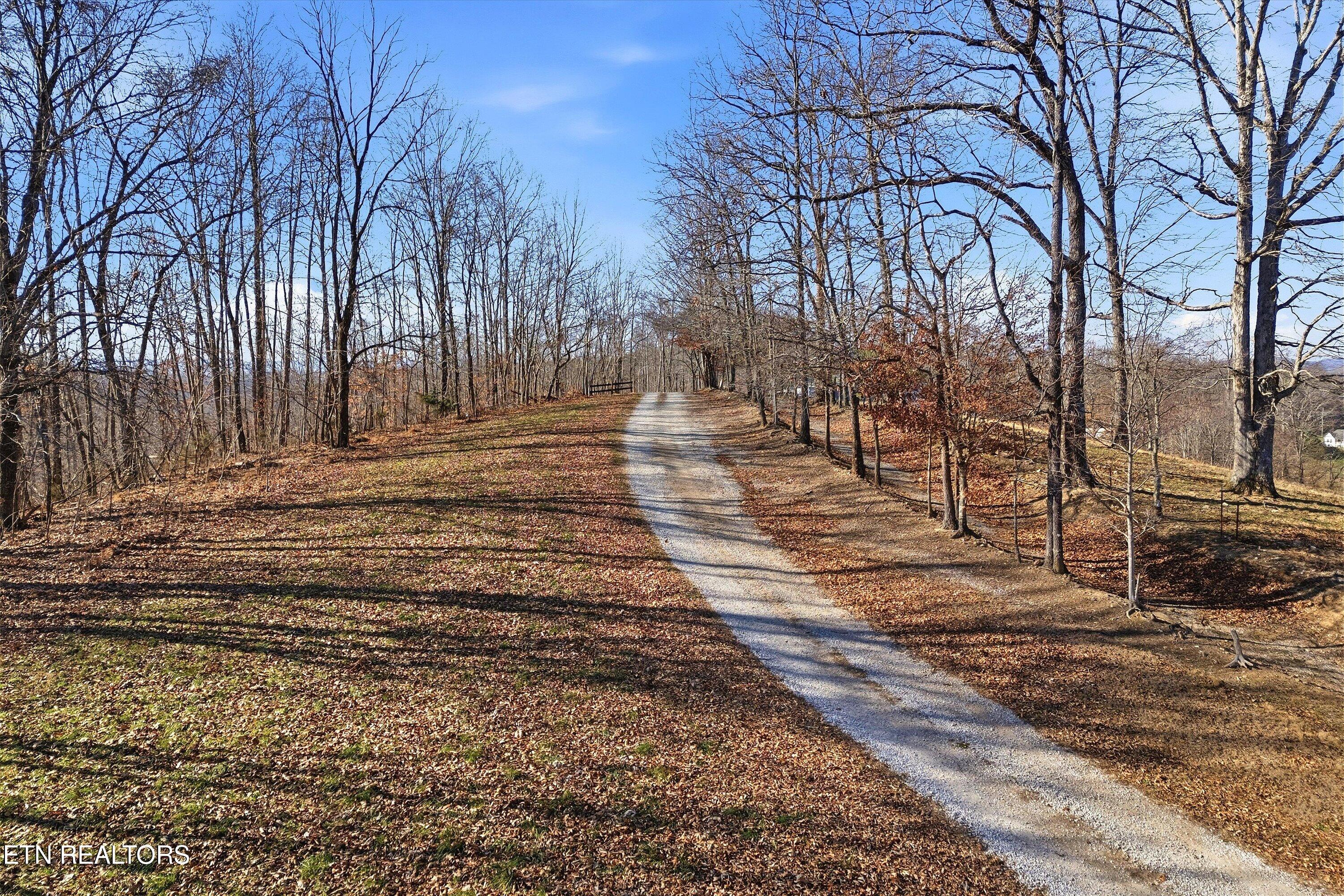 Lot 0 Sugar Hollow Road La Follette, TN 37766 - Photo 18 of 21 32-Sugar Hollow Rd-32