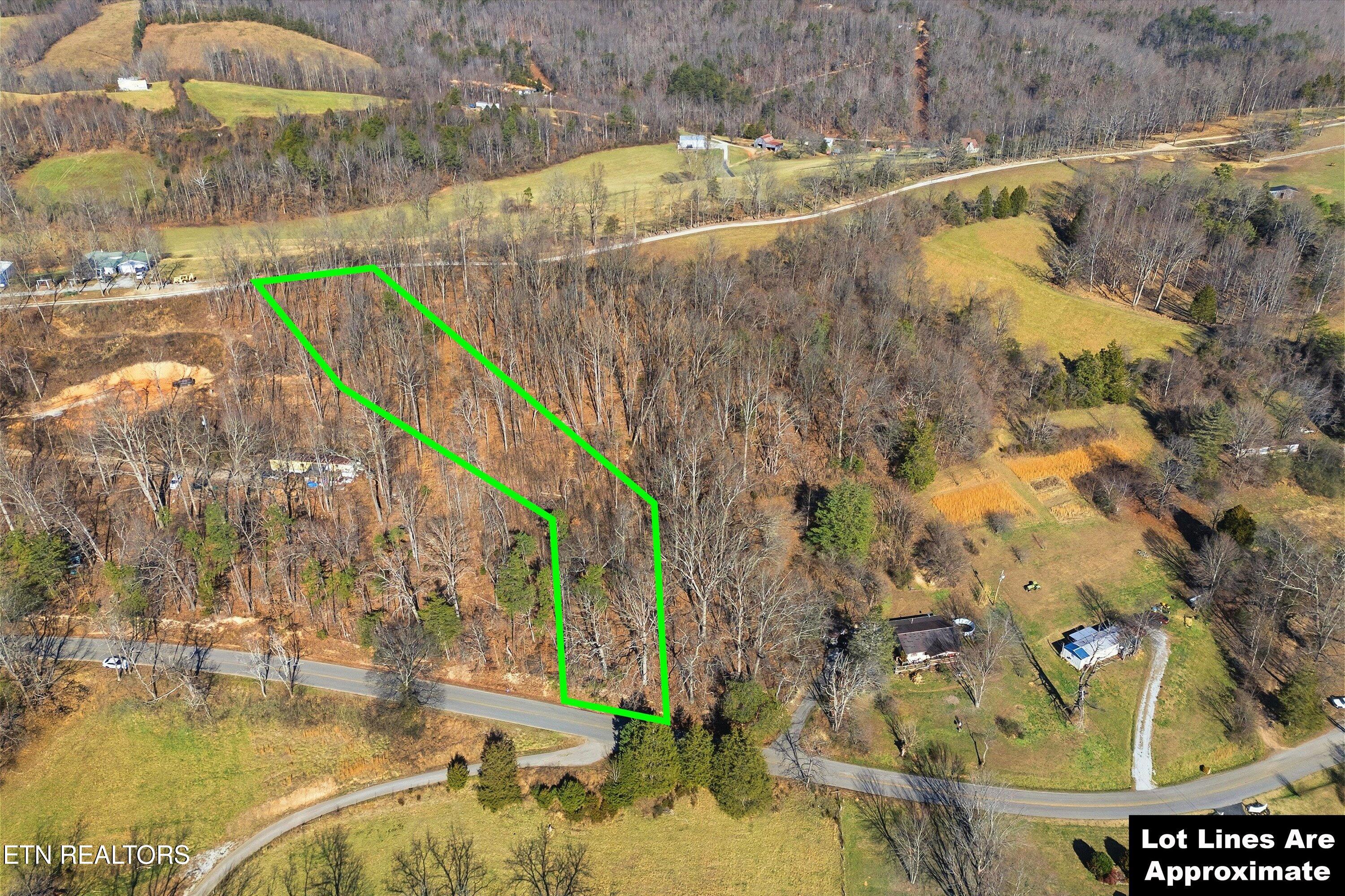 Lot 0 Sugar Hollow Road La Follette, TN 37766 - Photo 2 of 21 01-Sugar Hollow Rd-1