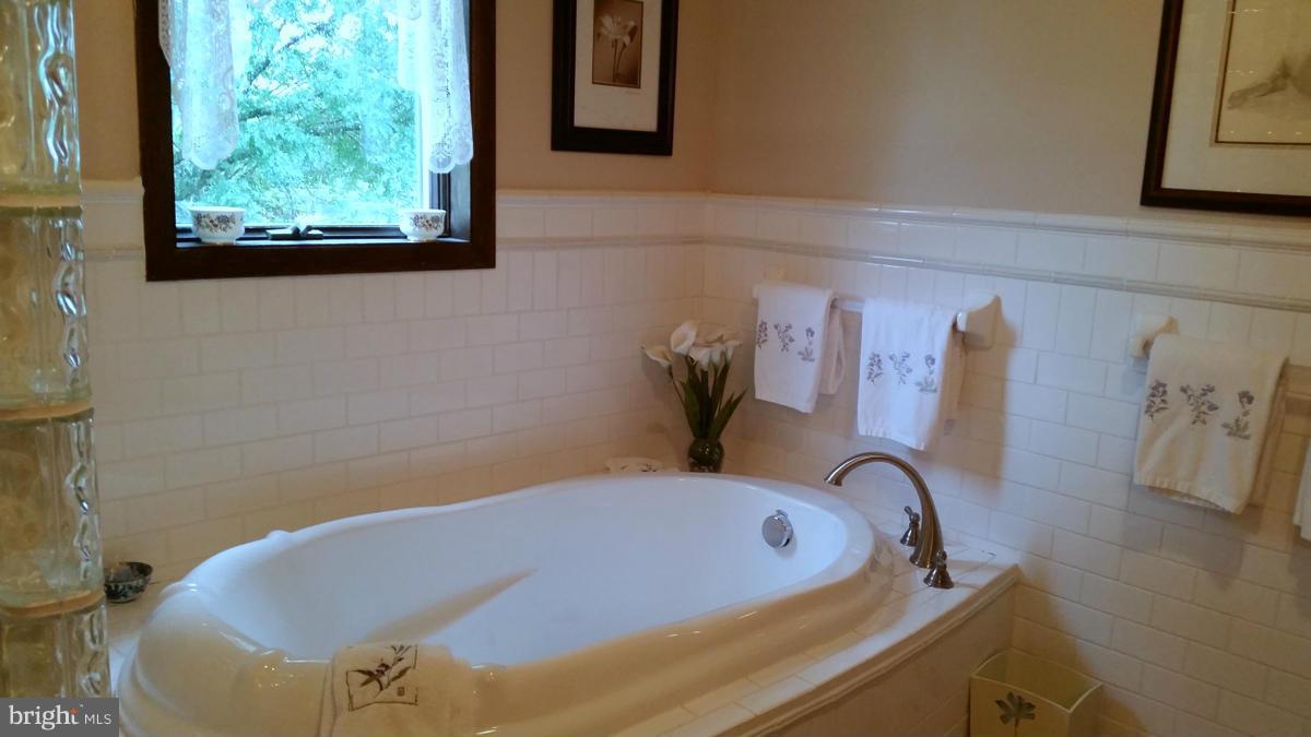 3370 Florence Road Woodbine, MD 21797 - Photo 11 of 29 Bath (Master)
