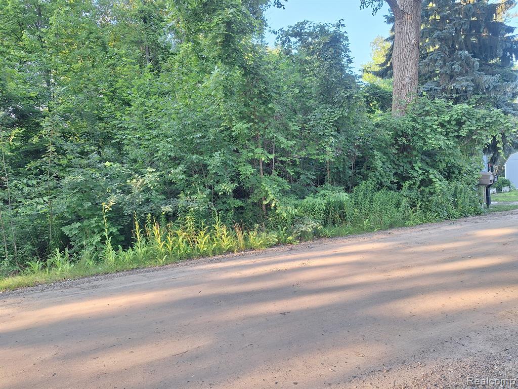 0 Birchwood Road Lexington, MI 48450 - Photo 3 of 7