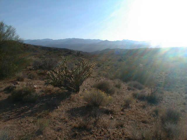 0 North Back Road Kingman, AZ 86401 - Photo 1 of 6 Primary Photo