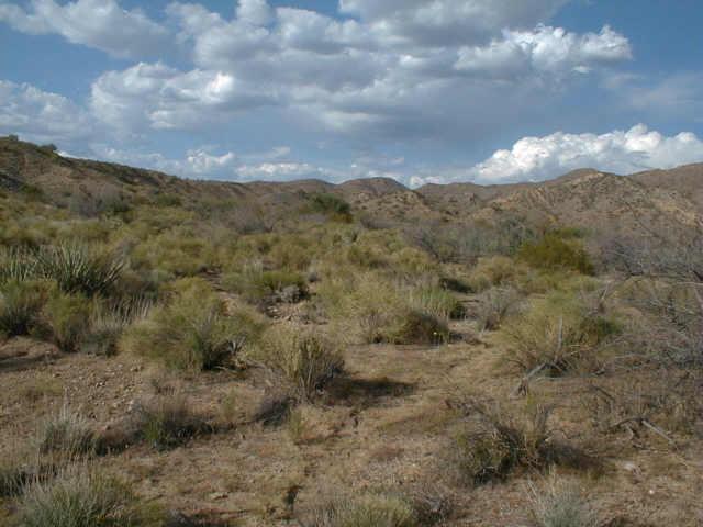 0 North Back Road Kingman, AZ 86401 - Photo 4 of 6 Additional Photo