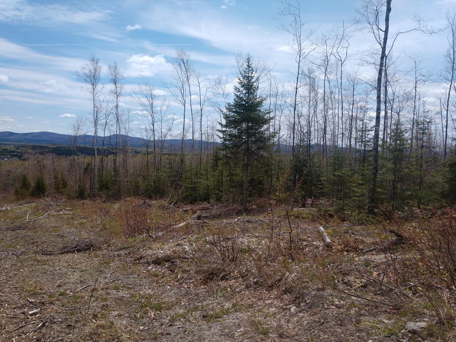 Off Convent Road Eagle Lake, ME 04739 - Photo 4 of 7 IMG_20190523_120117174